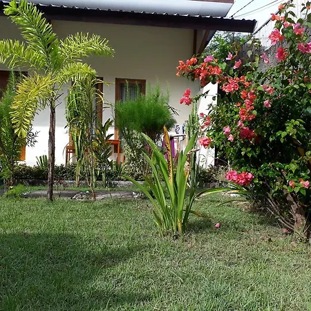 Herry Homestay Kuta Lombok
